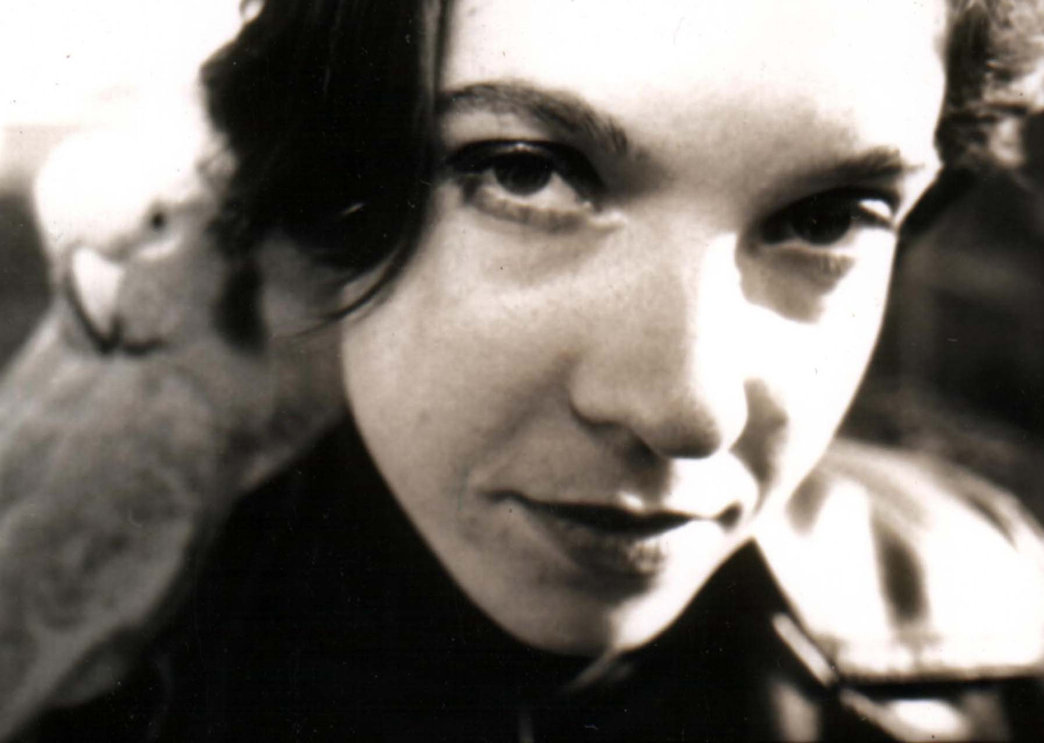 Mezangelle related artwork